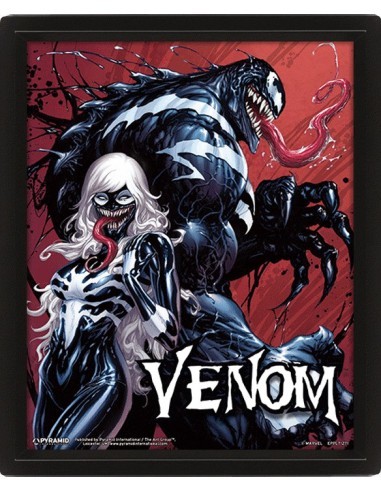 Cuadro Poster 3D - Venom and Black Cat
