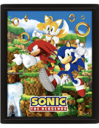 Cuadro Poster 3D - Sonic Hedgehog - Anillos de enganche