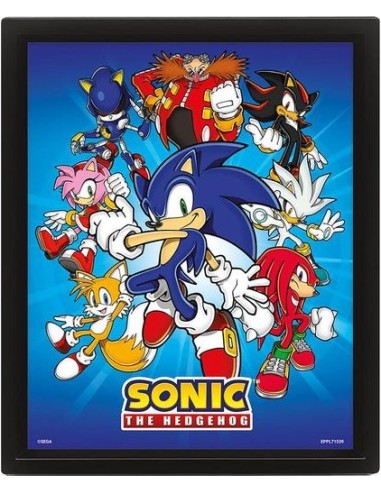 Cuadro Poster 3D - Sonic Hedgehog - La pandilla