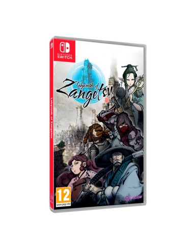 Labryinth of Zangetsu - Nintendo Switch